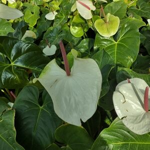 BUNDLE AND SAVE MONEY!!